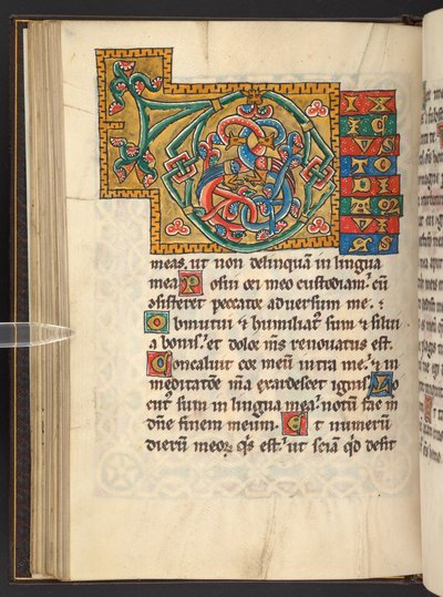 Lisätä. 60629, f.43v Suuret kehystetyt alkukirjaimet kullalla ja väreillä lehtivihreällä ja joskus zoomorfisella ja antropomorfisella ornamentilla (vellum) tekijältä German School