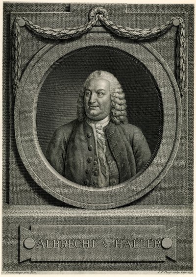 Albert von Haller tekijältä German School