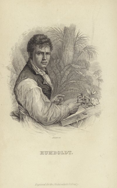 Alexander von Humboldt tekijältä German School