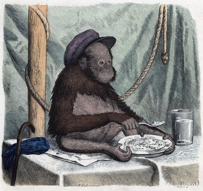 Koulutettu orangutaani (orangutan, orang outang, orangutan) syö riisiä lusikalla. Kun joku matkustaa, hän voi kertoa tämän, Franz Wiedemannin saksalaisen tarinan tekijältä German School