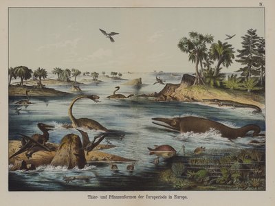 Jurassic-kauden eläimet ja kasvit Euroopassa (värilitho) tekijältä German School