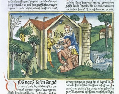 Apokryfi: Tobit on sokaissut varpusen jätökset, Nürnbergin Raamatusta (Biblia Sacra Germanaica) (värillinen puupiirros) tekijältä German School