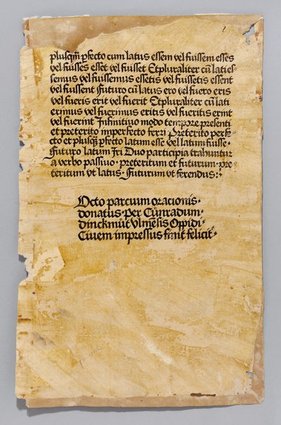 Ars Minor kirjoittanut Aelius Donatus, painanut Konrad Dinckmut, Ulm, n.1476-80 (blockbook) tekijältä German School