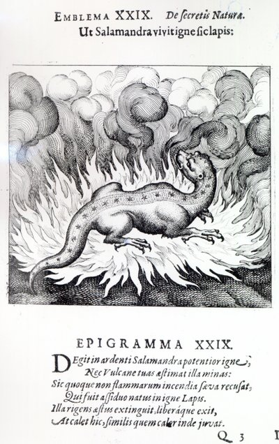 Kuten salamanteri tulessa, niin myös kivi, Michael Maierin Atalanta fugiensin tunnus XXIX, 1617 tekijältä German School