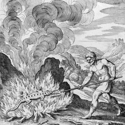Musaeum Hermeticumin salamanterin polttaminen tekijältä German School