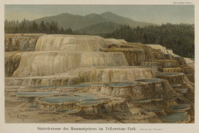 Kalkkipitoiset sintratut terassit Mammoth Hot Springsissä Yellowstonen kansallispuistossa, Wyomingissa (värilitho) tekijältä German School