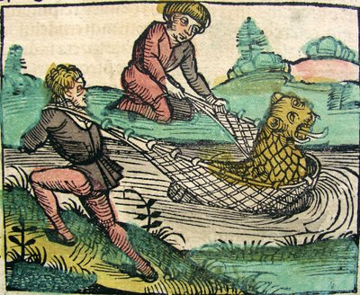 Nürnberg Chroniclessa, 1493 julkaistussa Leijonan kiinni kalahirviö tekijältä German School