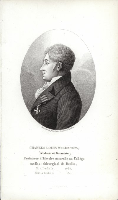 Charles Louis Wildenow tekijältä German School