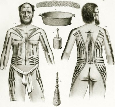 Kaavio, jossa näkyy erilaisia polynesialaisia esineitä ja tatuointeja, 1888 tekijältä German School