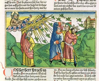 Mooseksen kirja 10:1-20 Egyptin seitsemän vitsausta: heinäsirkkojen rutto, Nürnbergin Raamatusta (Biblia Sacra Germanaica) (värillinen puupiirros) tekijältä German School