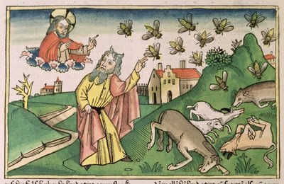 Exodus 8 20-32 Egyptin seitsemän vitsausta: Mooses ja kärpäsparvi, "Nürnbergin Raamatusta (Biblia Sacra Germanaica)" (värillinen puupiirros) tekijältä German School