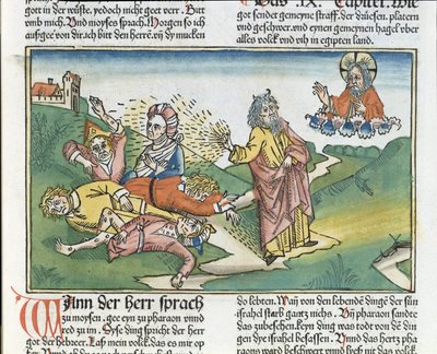 2. Moos. 9 8-12 Egyptin seitsemän vitsausta: Mooses ja paisujen rutto, Nürnbergin Raamatusta (Biblia Sacra Germanaica) (värillinen puupiirros) tekijältä German School