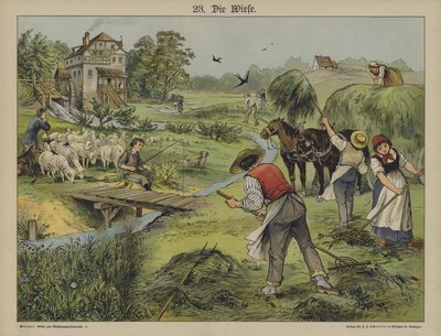 Ruoho (väri litho) tekijältä German School