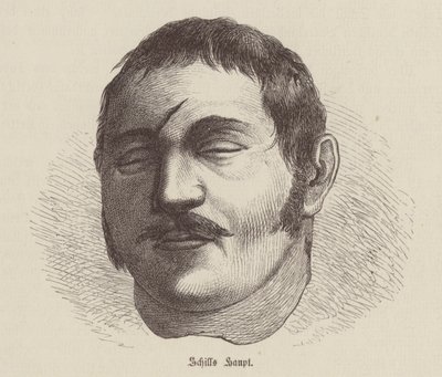 Ferdinand von Schillin päällikkö, preussilainen sotilas, joka kapinoi Ranskan miehitystä vastaan (kaiverrus) tekijältä German School