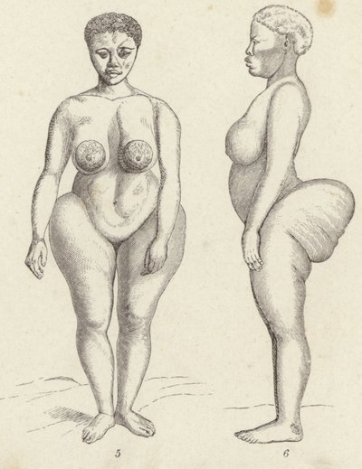 Hottentot Venus (kaiverrus) tekijältä German School