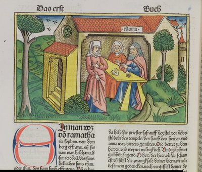 I Samuel 1:8 Elkana lohduttaa Hannaa, Nürnbergin Raamatusta (Biblia Sacra Germanaica) (värillinen puupiirros) tekijältä German School