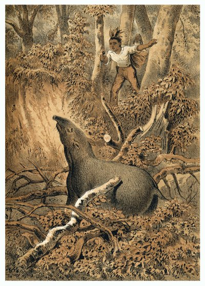 Kuvitus, intialainen metsästystapiiri Amazonin metsässä. Teoksessa "" De Bootslieden der Amazon-River", Karl Muller, Alankomaat tekijältä German School