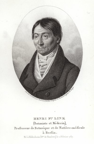 Johann Heinrich Friedrich Link tekijältä German School