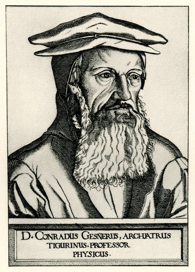 Konrad Gesner tekijältä German School