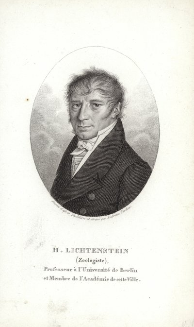 Martin Lichtenstein tekijältä German School