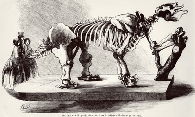 Megatherium Skeleton British Museumissa tekijältä German School