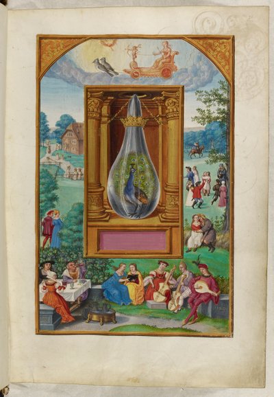 Ms Harley 3469, f.28 Peacock Tail, neljäs traktaatti, Salomon Trismosinin Splendor Solisista tekijältä German School