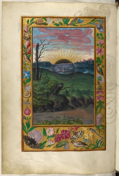 Ms Harley 3469, f.30v The Dark Sun, viides traktaatti, Salomon Trismosinin Splendor Solisista tekijältä German School