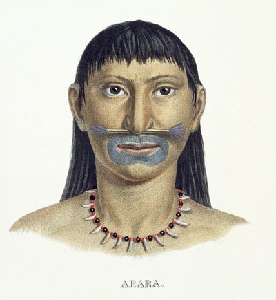 Arara-heimon syntyperäinen mies sinisellä kasvomaalilla, Johann Baptist von Spixin (1781-1826) ja Karl Friedrich Philipp Martiuksen (1794-1868) Atlas of a Journey in Brazil, julkaistu noin 1835-1850 (väri) tekijältä German School