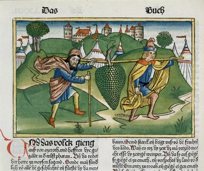 Numero 13 23 Eshcolin viinirypäleet, Nürnbergin Raamatusta (Biblia Sacra Germanica) (värillinen puupiirros) tekijältä German School