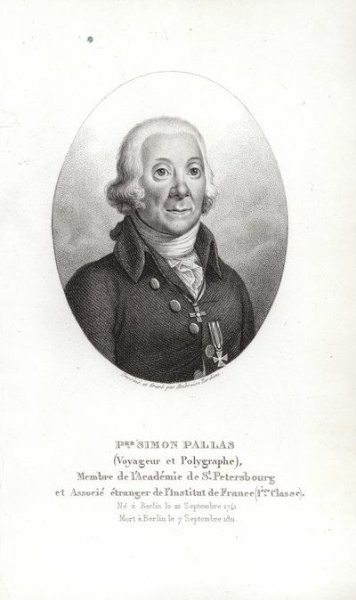 Peter Simon Pallas tekijältä German School