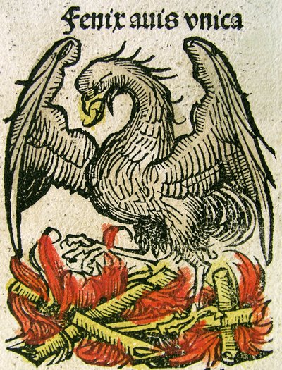 Phoenix julkaistiin Nürnberg Chroniclessa, 1493 tekijältä German School