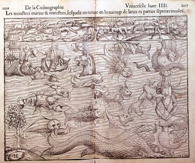 Levy, joka edustaa kaikentyyppisiä meren ja maan hirviöitä pohjoisilta alueilta: Xilografia otettu Sebastien Munsterin Universal Cosmographysta. Paali tekijältä German School