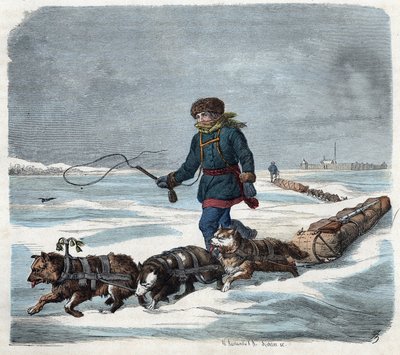Rekikoira Amerikan lumessa. Teoksessa "" Wenn Jemand eine Reise tut, so kann er was erhalten"" (Kun joku matkustaa, tämän hän osaa kertoa), Franz Wiedemannin saksalainen tarina tekijältä German School