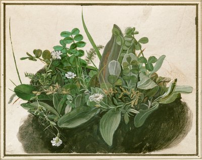 Pieni nurmikasa (vesiväri, tempera ja sivellin pergamentille, pahville kiinnitettynä). tekijältä German School