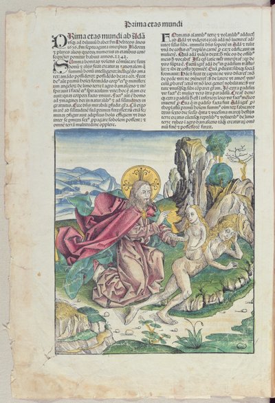 Eevan syntymä Hartmann Schedelin (1440-1514) teoksesta "Liber Chronicarum" 1493 (värillinen puupiirros) tekijältä German School