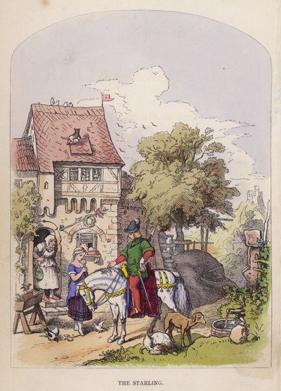 Starling (väri litho) tekijältä German School