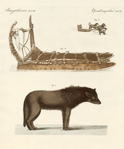 Baffin-lahden koira (värillinen kaiverrus) tekijältä German School