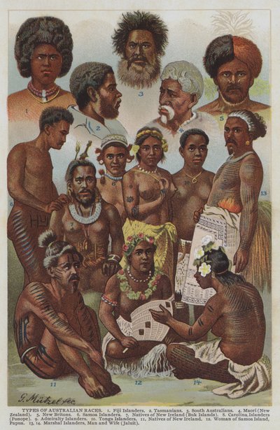 Australian rodun tyypit (värilitho) tekijältä German School