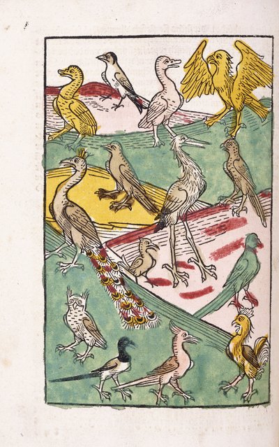 Erilaisia lintulajeja maisemassa, 1499 tekijältä German School