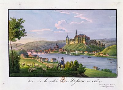 Näkymä Meissenin kaupunkiin, Christian Samuel Hannemannin (1755-1843) syntymäpaikalle (värikaiverrus) tekijältä German School