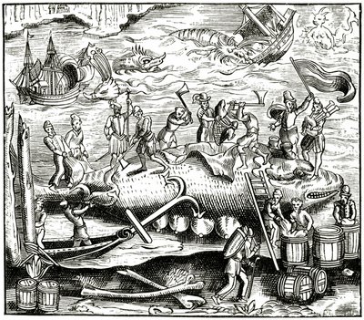 Valankalastus, Cosmographie Universelle of Munsterin puupiirros, julkaistu 1552 tekijältä German School