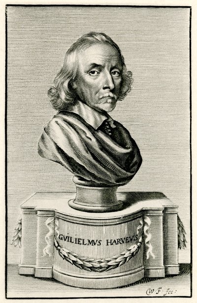 William Harvey tekijältä German School