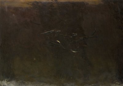 Kala akvaariossa tekijältä Gerrit Willem Dijsselhof
