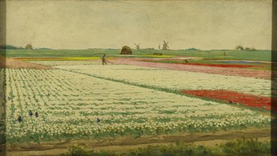 Tulppaanikentät tekijältä Gerrit Willem Dijsselhof