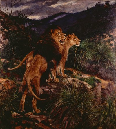 Lions Stalking (öljy kankaalle) tekijältä Geza Vastagh