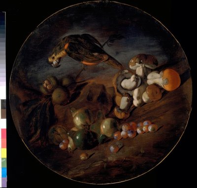 Sienet, hedelmät ja papukaija - asetelmaa tekijältä Giacomo Fardella de Calvello
