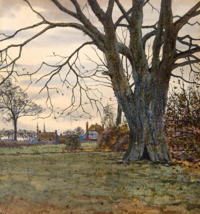 Muinainen puu tekijältä Gilbert Baird Fraser