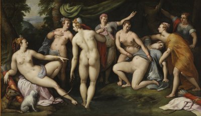 Diana saa tietää Calliston raskaudesta tekijältä Gillis Coignet