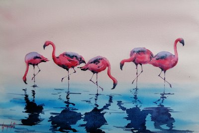 Vesissä kahlailevat vaaleanpunaiset flamingot tekijältä Giorgio Gosti