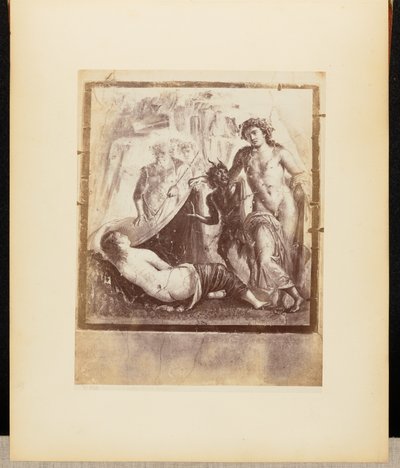Tuore Bacchus ja Ariadne Pompeji tekijältä Giorgio Sommer